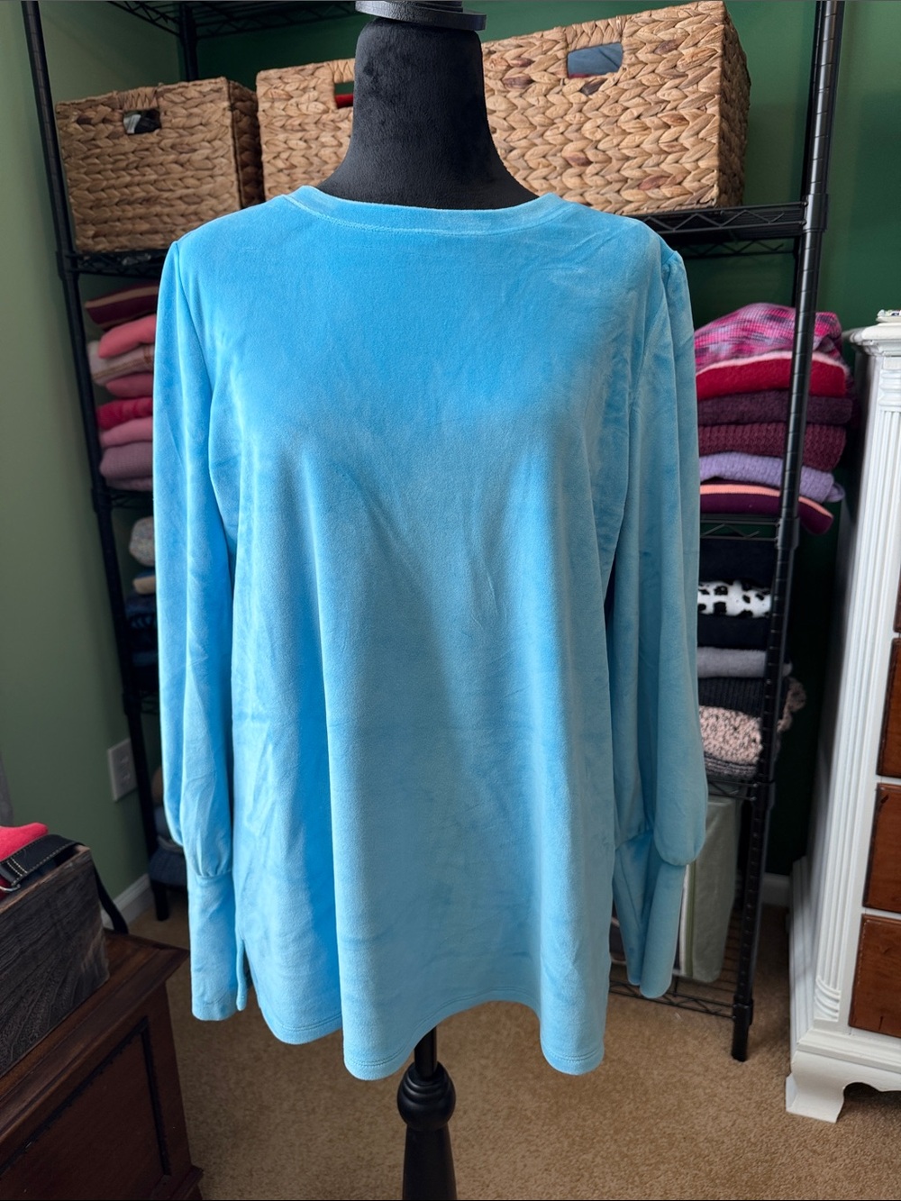 Belle by Kim Gravel Light Blue Velvet Long-Sleeve Crewneck Top
